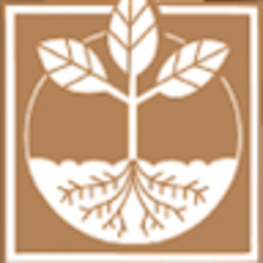 Meet your Posher, Sergio and son landscaping